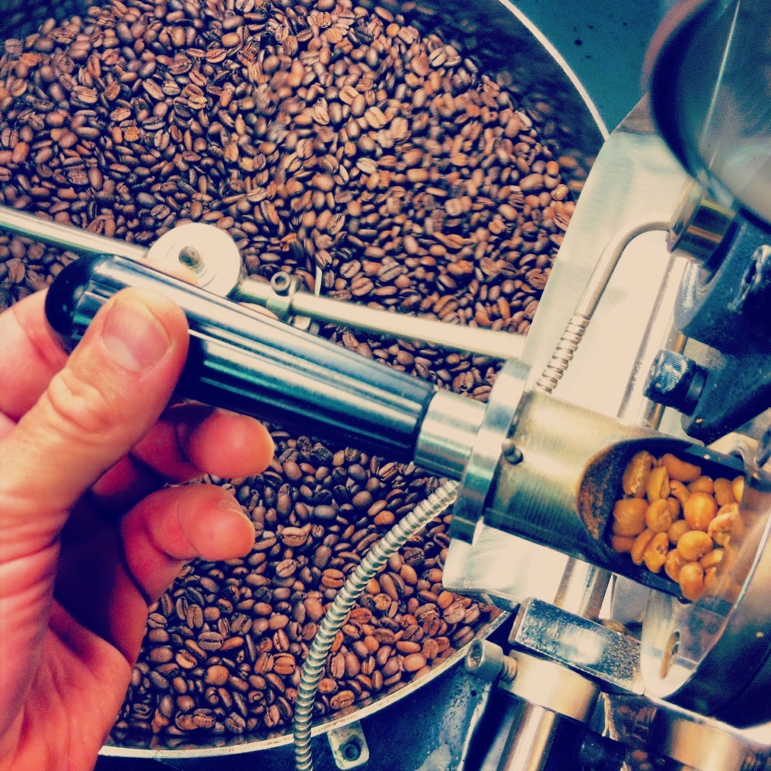 Noble Coyote Coffee Roasters roastery