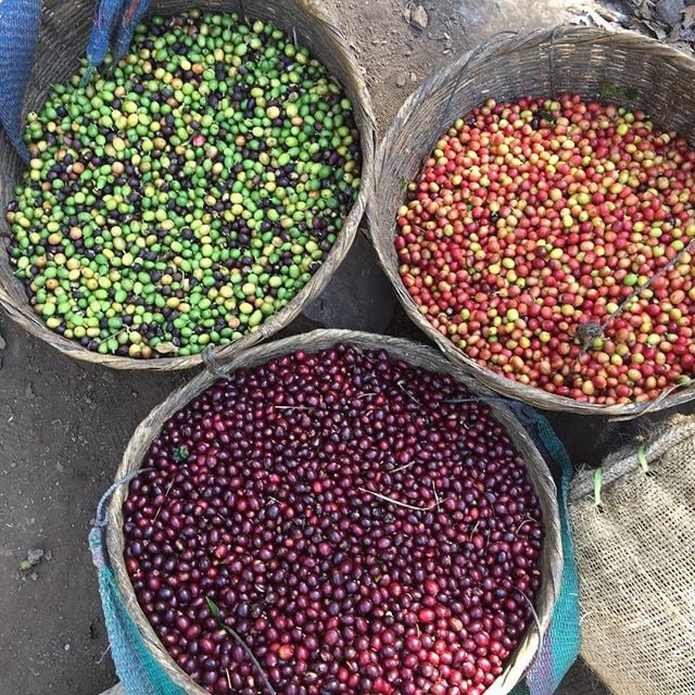 Beacon Coffee Company, Inc. roastery