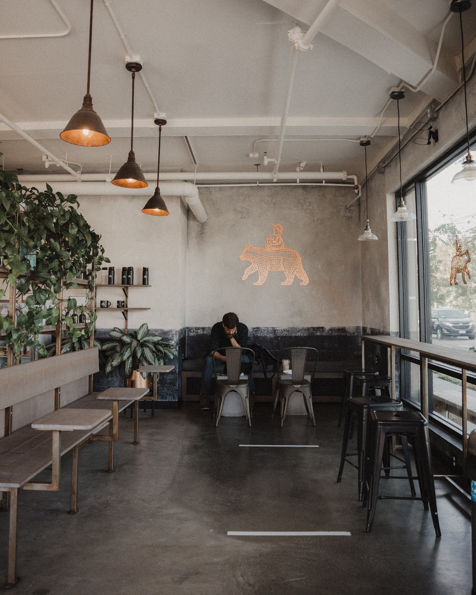The Boy & The Bear - Coffee Roastery roastery