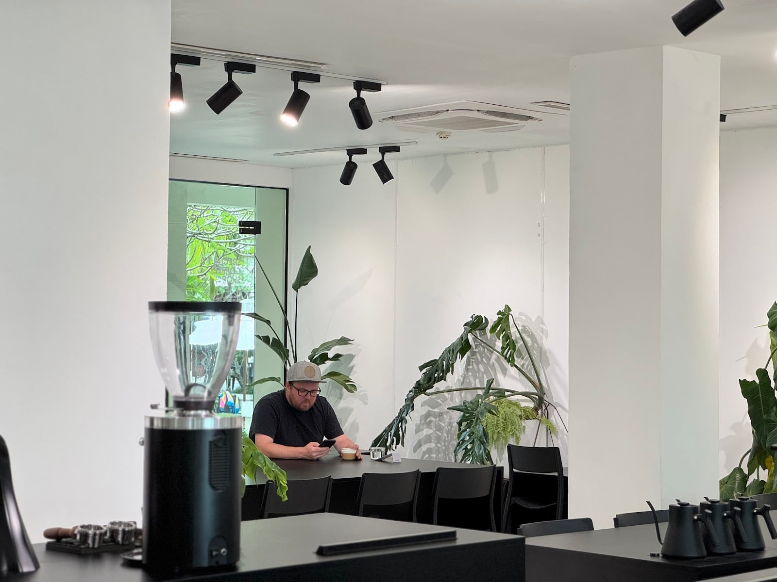 XLIII Specialty Coffee roastery