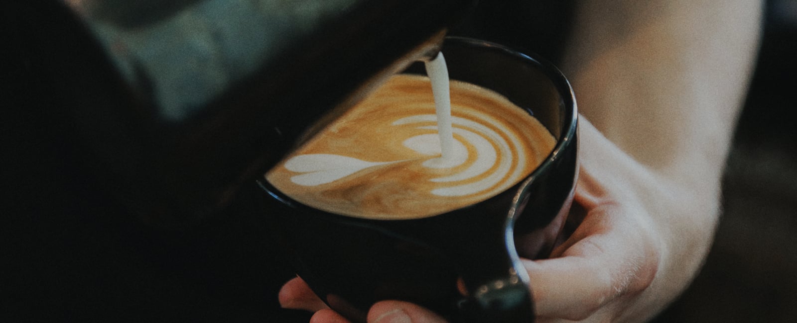 The Boy & The Bear - Coffee Roastery roastery