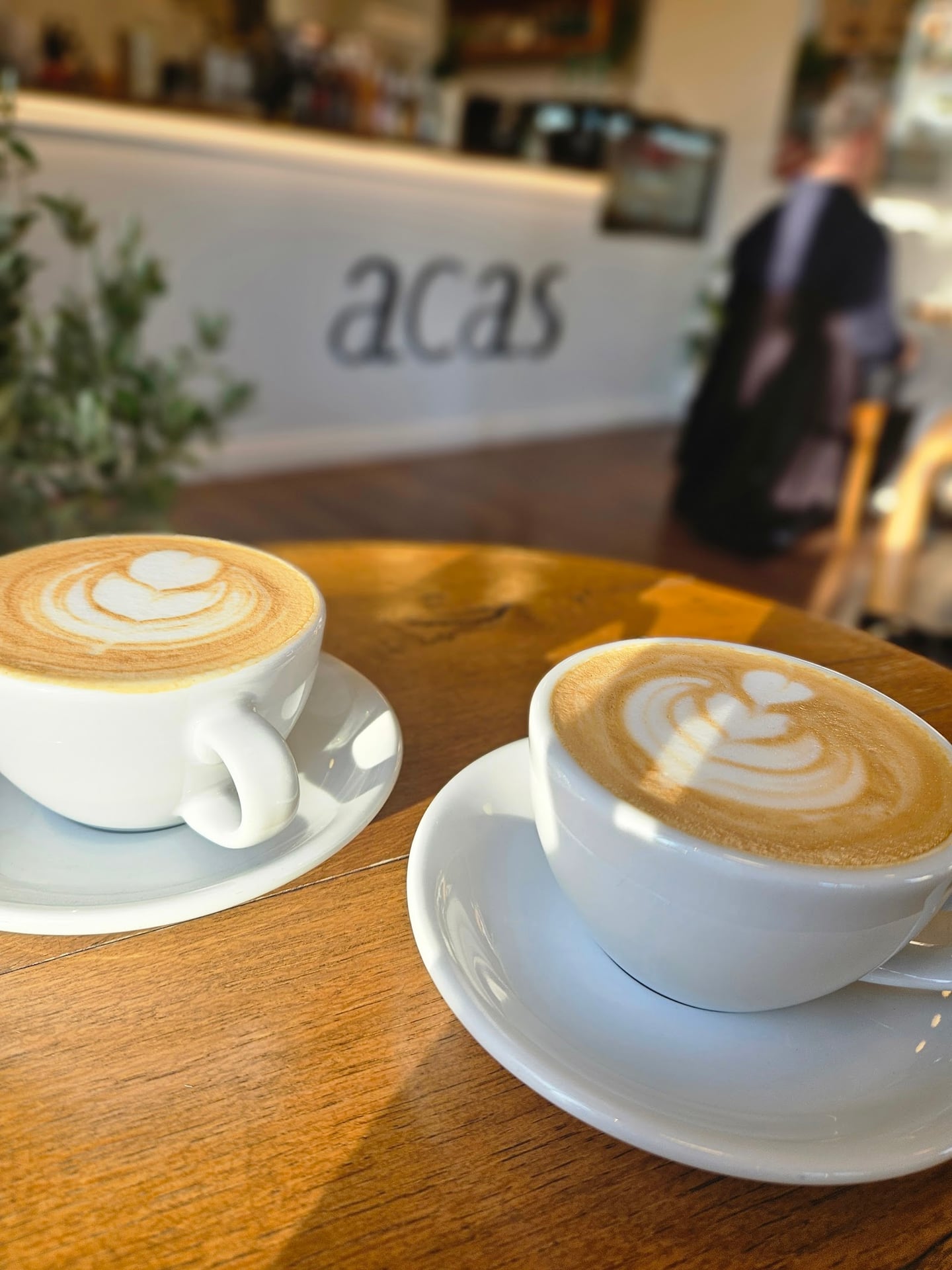 Photo of acas specialty coffee