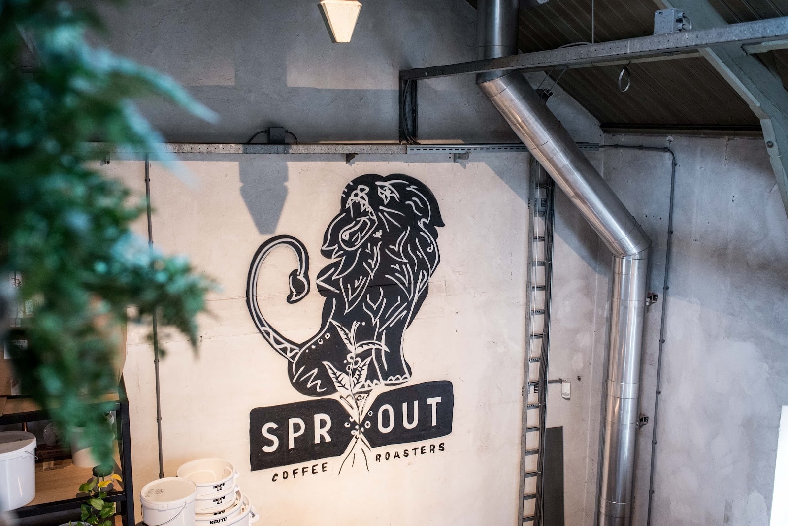 Sprout coffee roasters