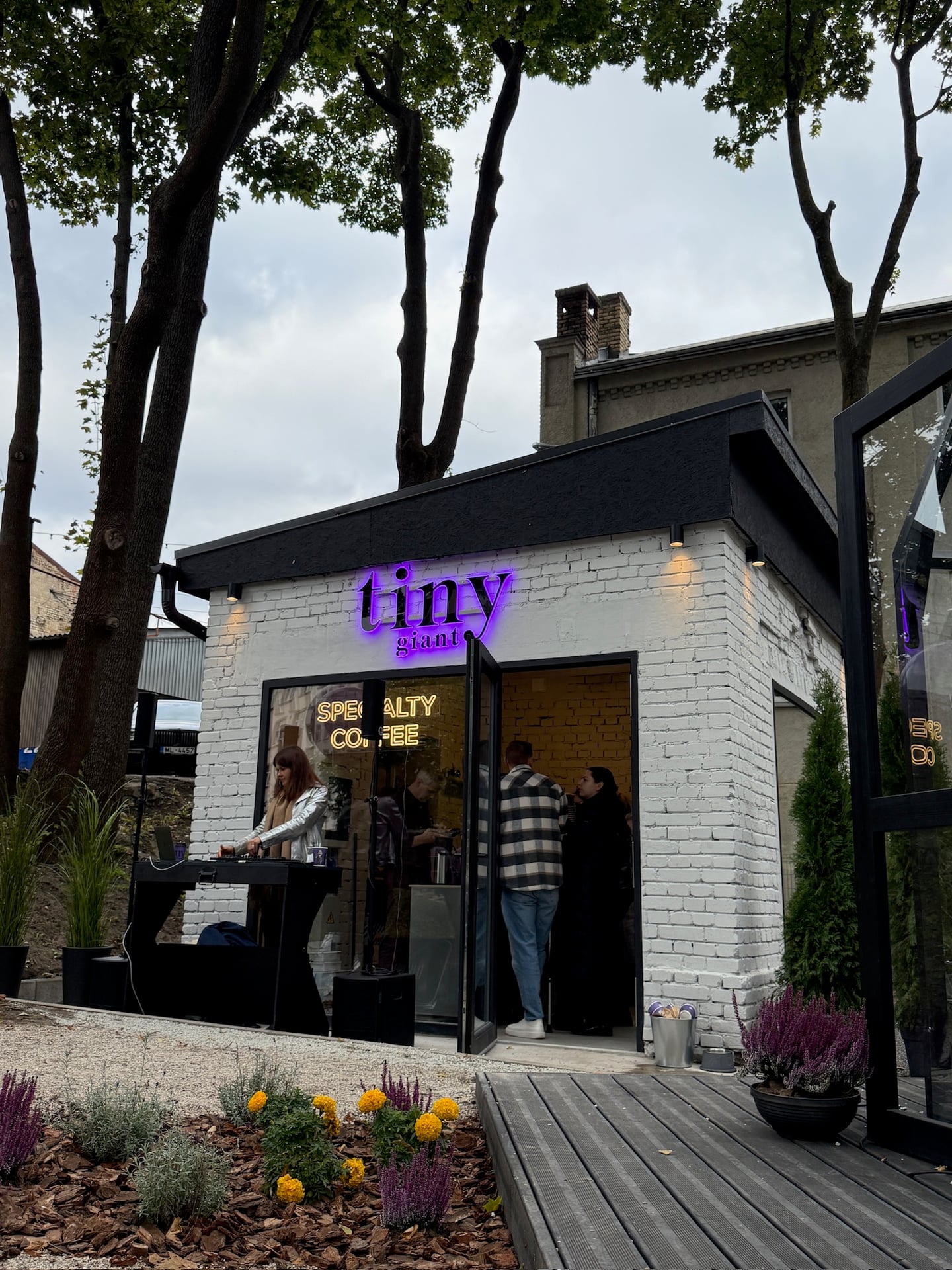 Tiny Giant Specialty Coffee interior