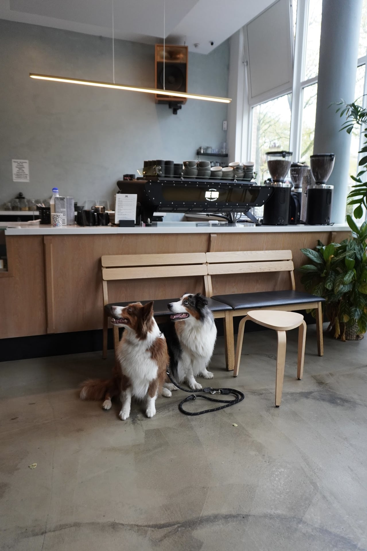 Photo of Five Ways Coffee Roasters