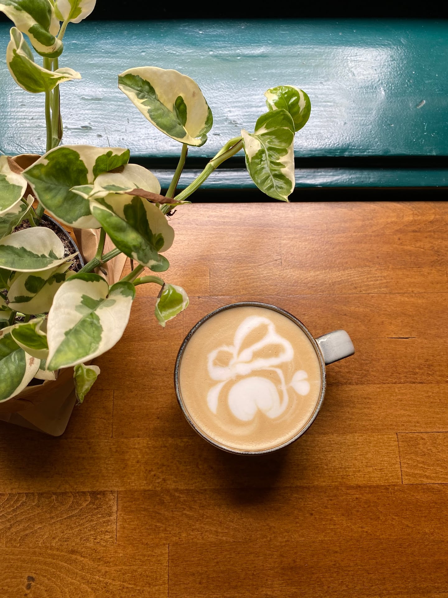 Photo of Cafe KávOkno