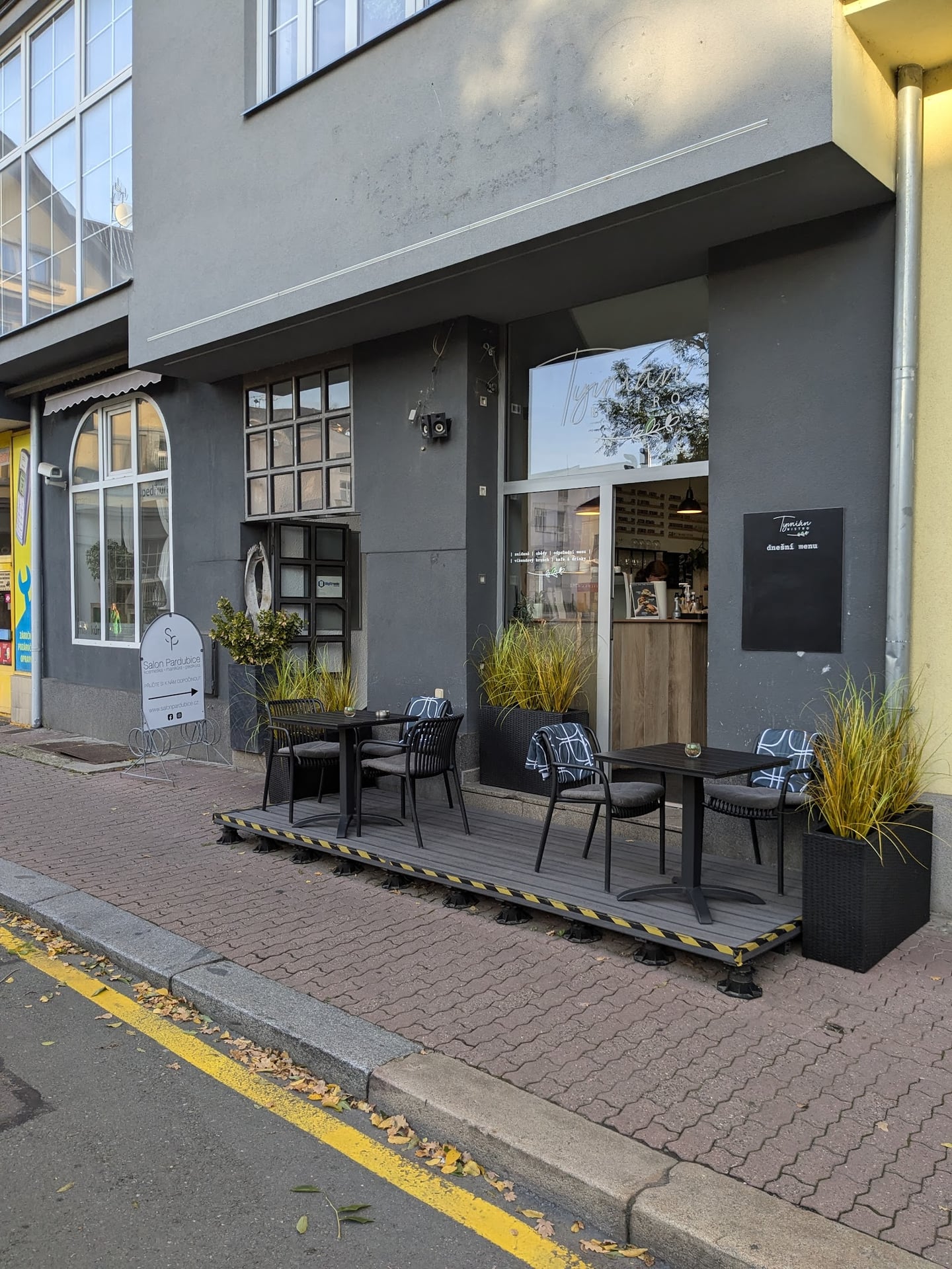 Tymián bistro