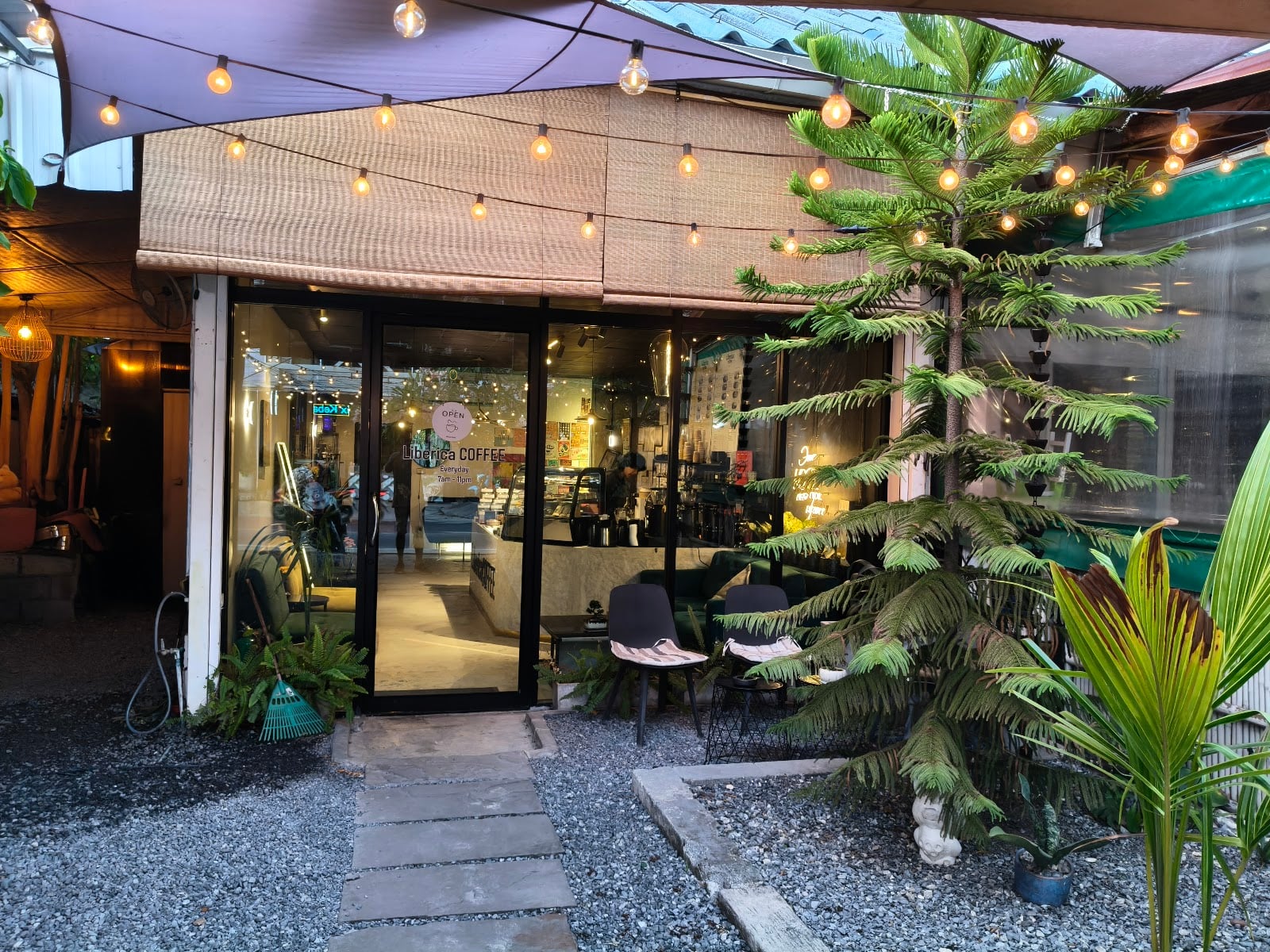 Liberica Coffee