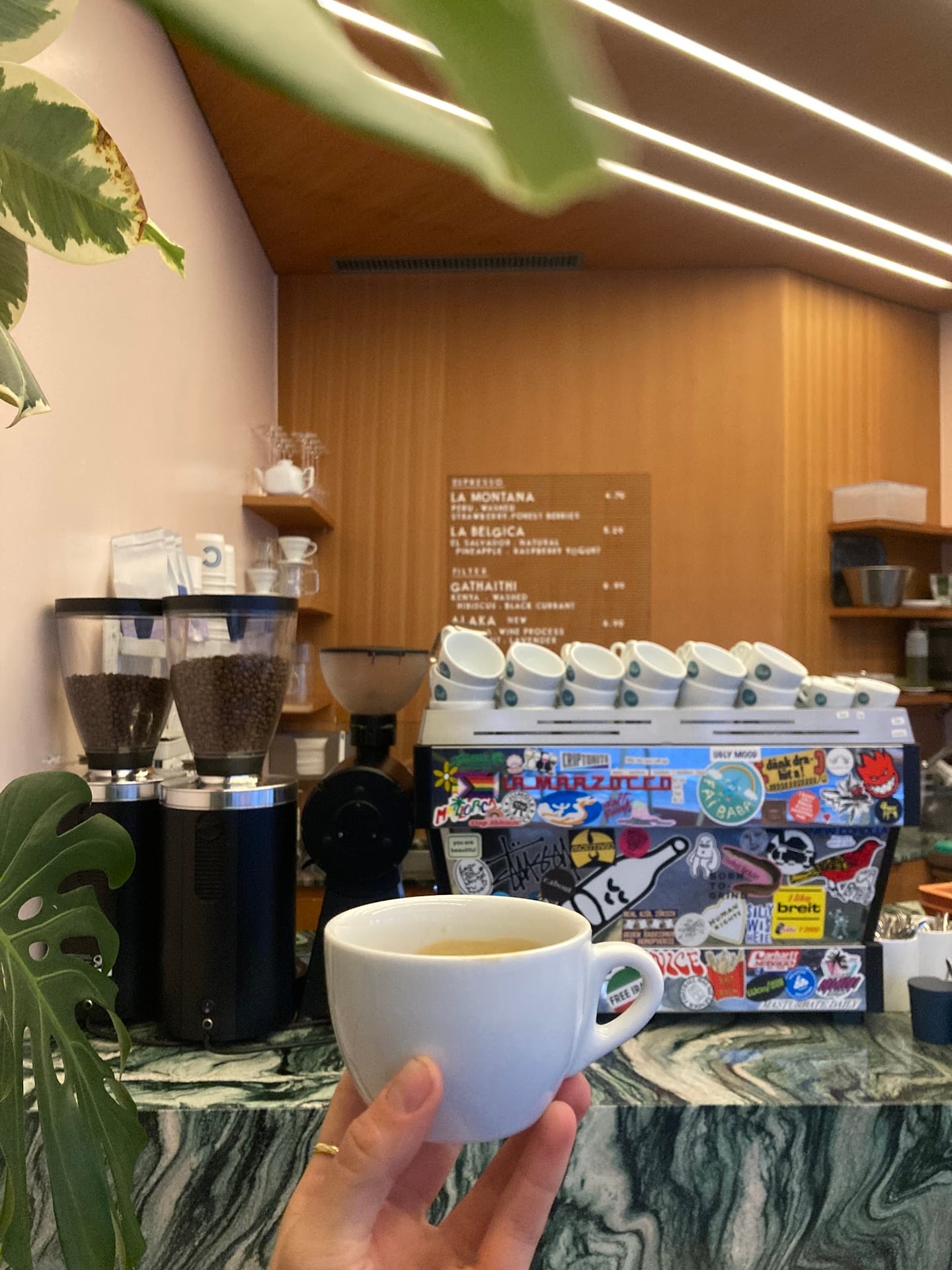 Photo of Tuttee Fruttee Coffee