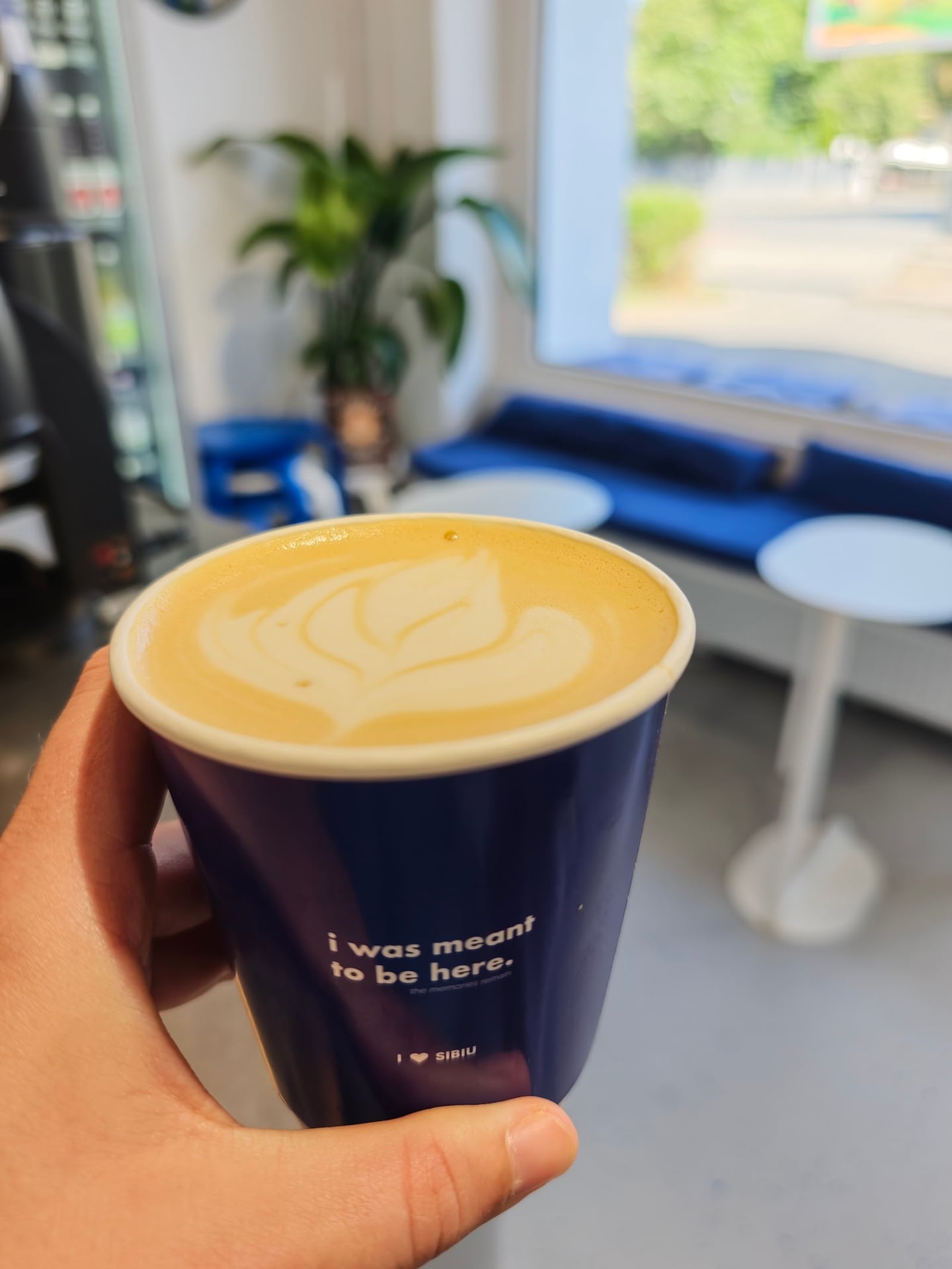 Photo of Stradal Coffee
