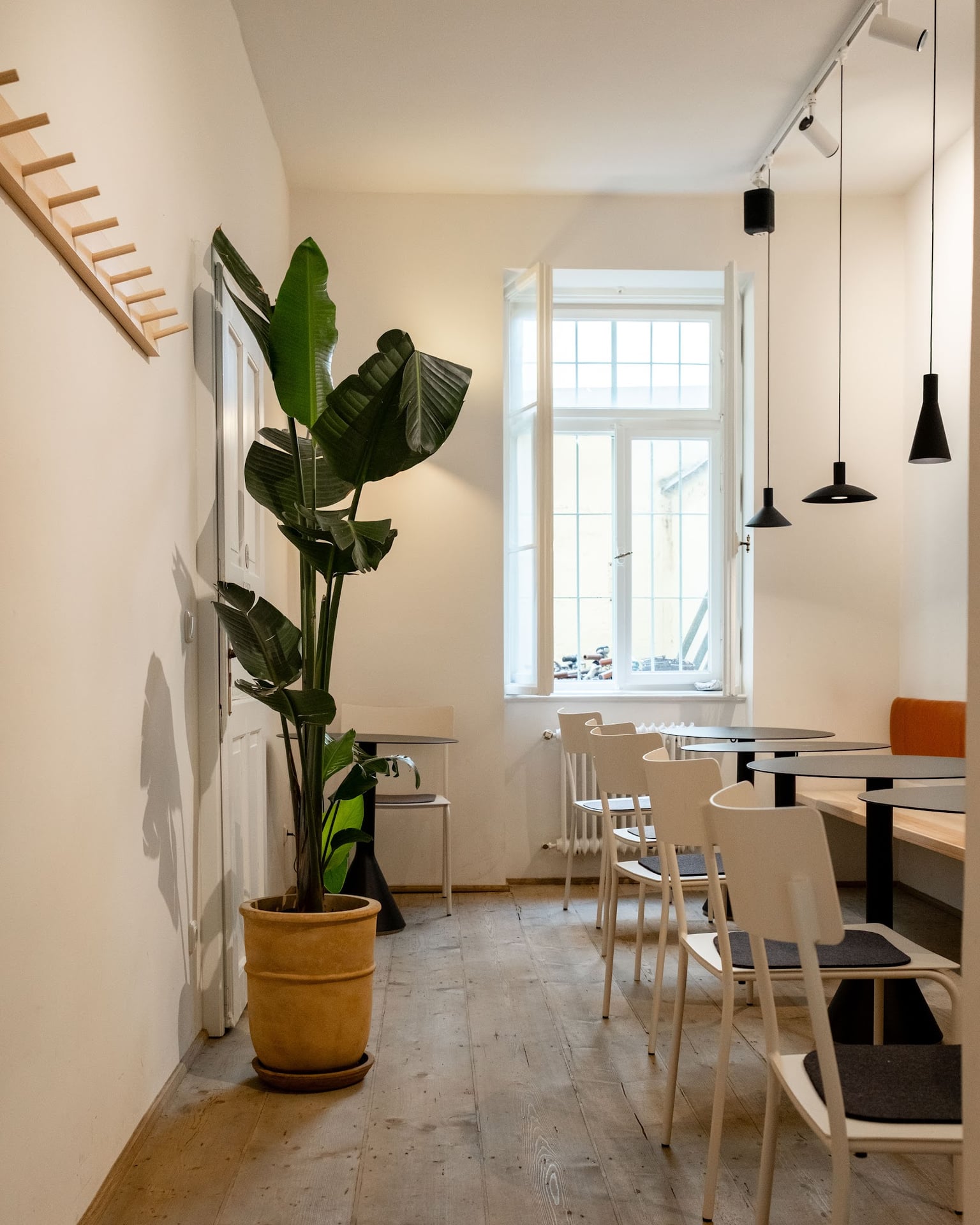 Suuapinga - Specialty Coffee interior
