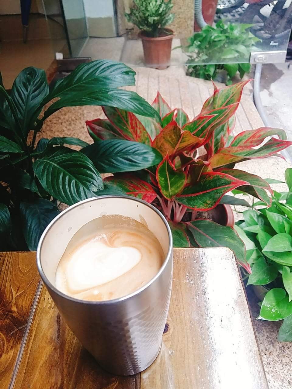 Photo of Dream Beans Coffee Roastery