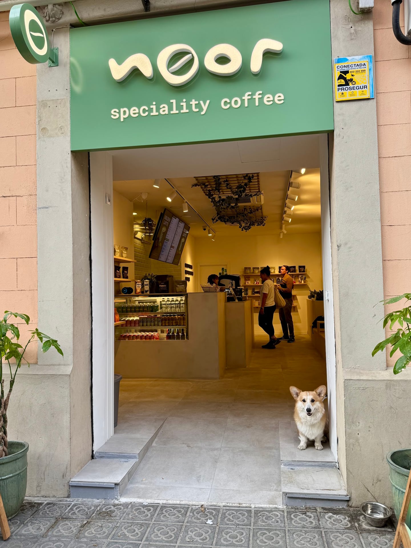 Noor | Specialty Coffee interior
