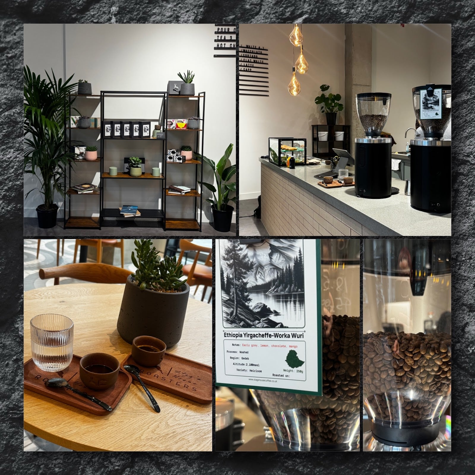 Stag's House Coffee interior