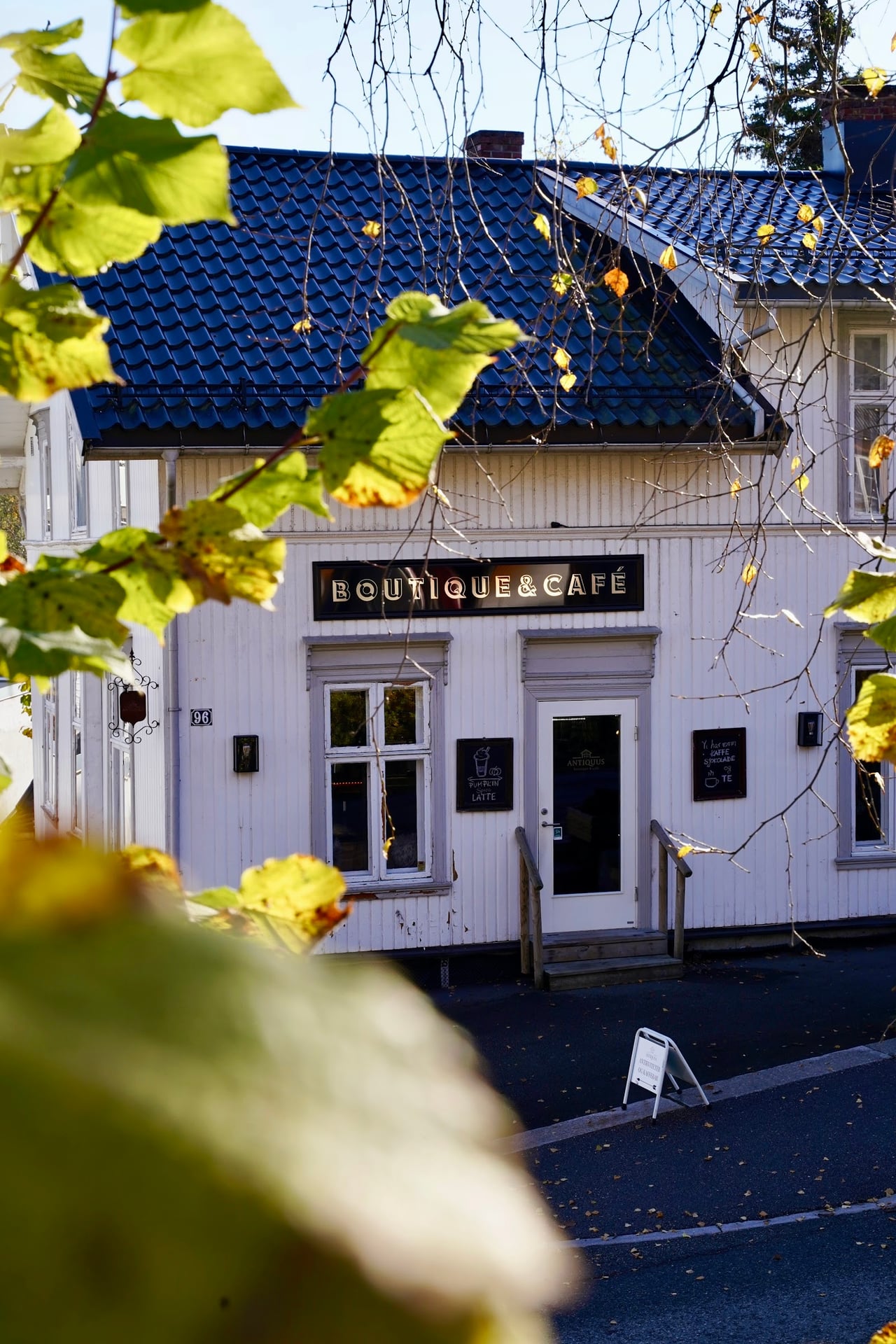 Røyken