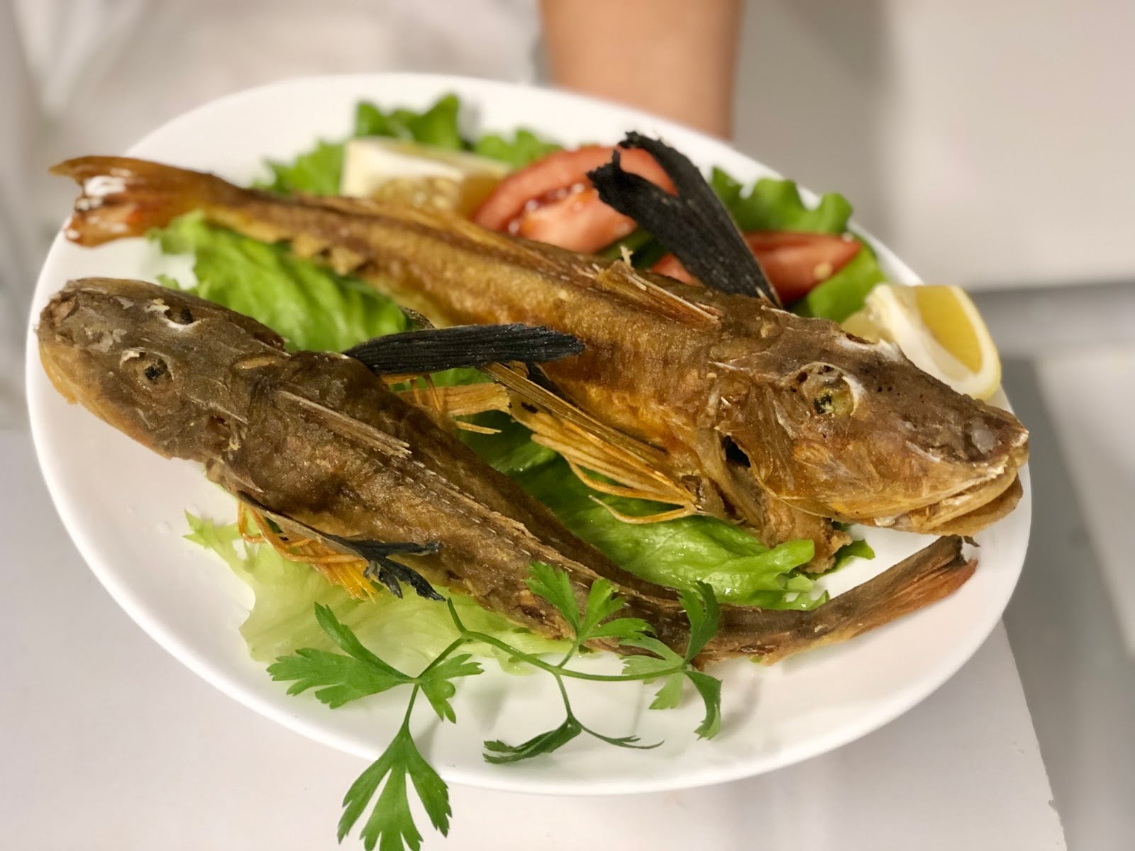 Photo of AKROPOL Grill & Fish Blagoevgrad ( Акропол )