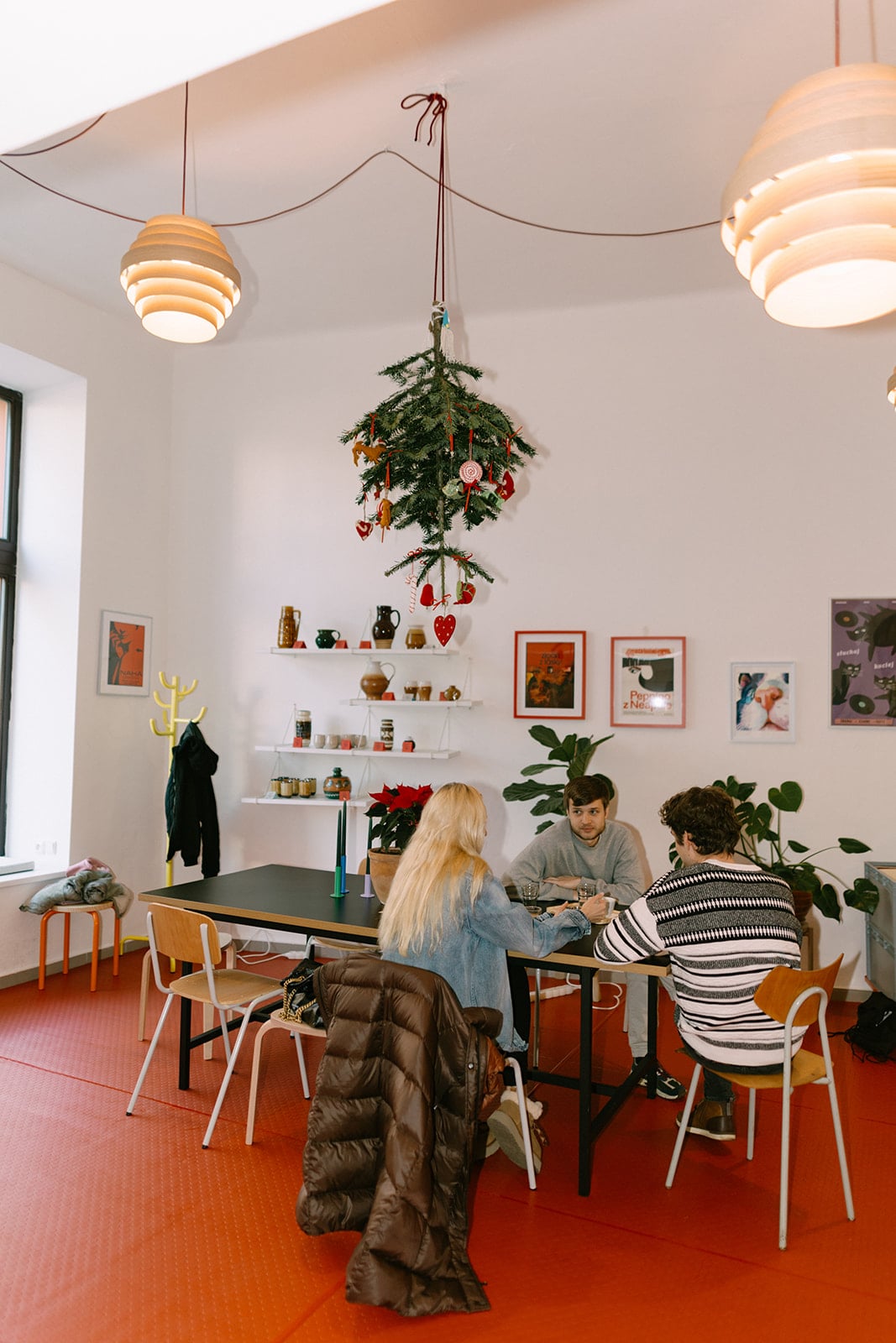 Lajka žije interior