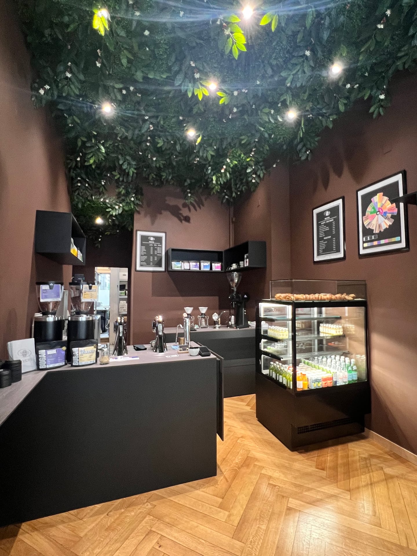 Universe Specialty Coffee interior