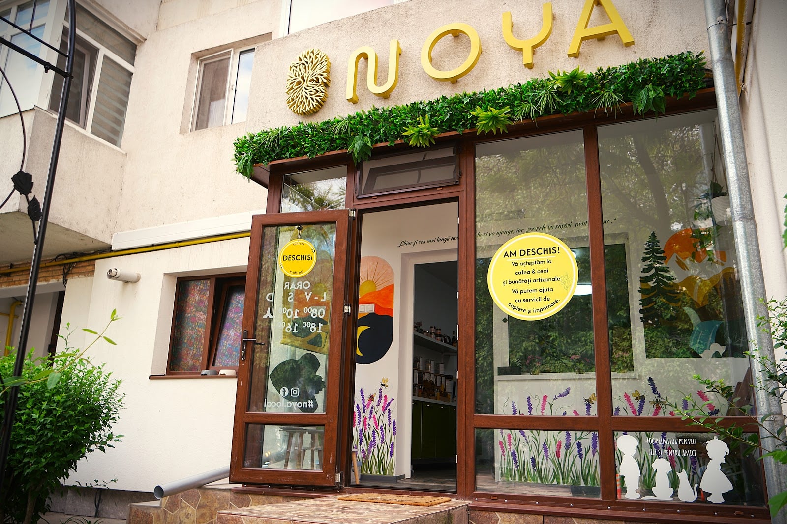 Photo of NOYA l specialty coffee micro roastery