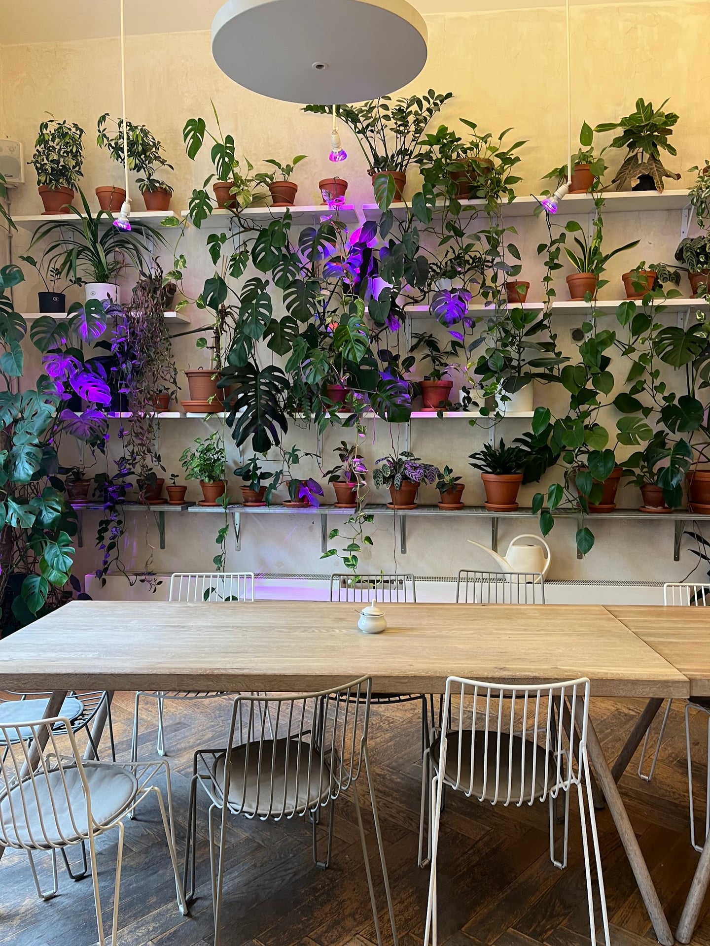 Photo of Urban Café