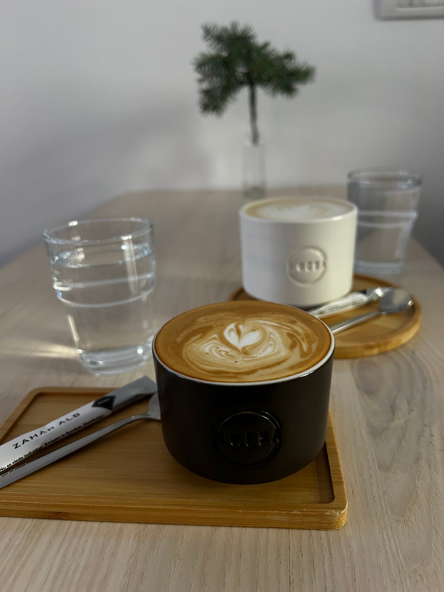 Photo of MOCSA Speciality Coffee