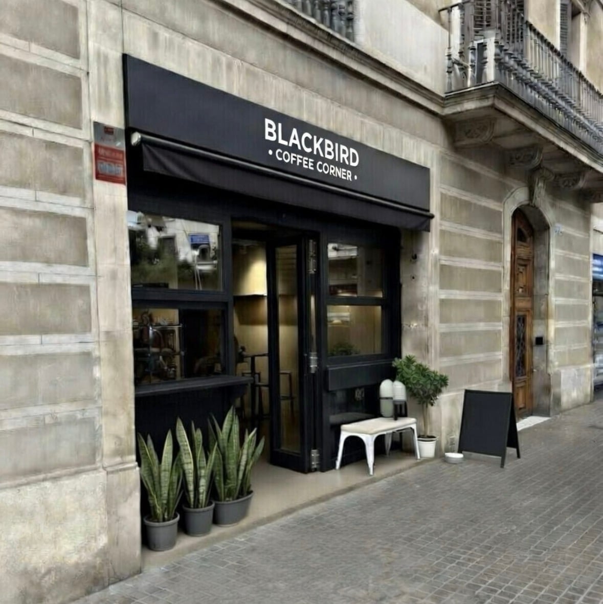 Blackbird Coffee Corner - Balmes interior