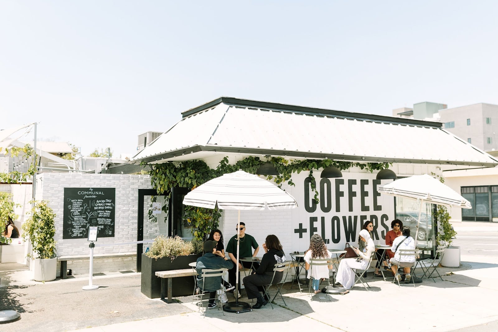 Photo of Communal Coffee