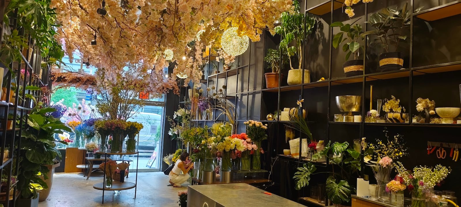 Photo of Ariston Coffee Bar