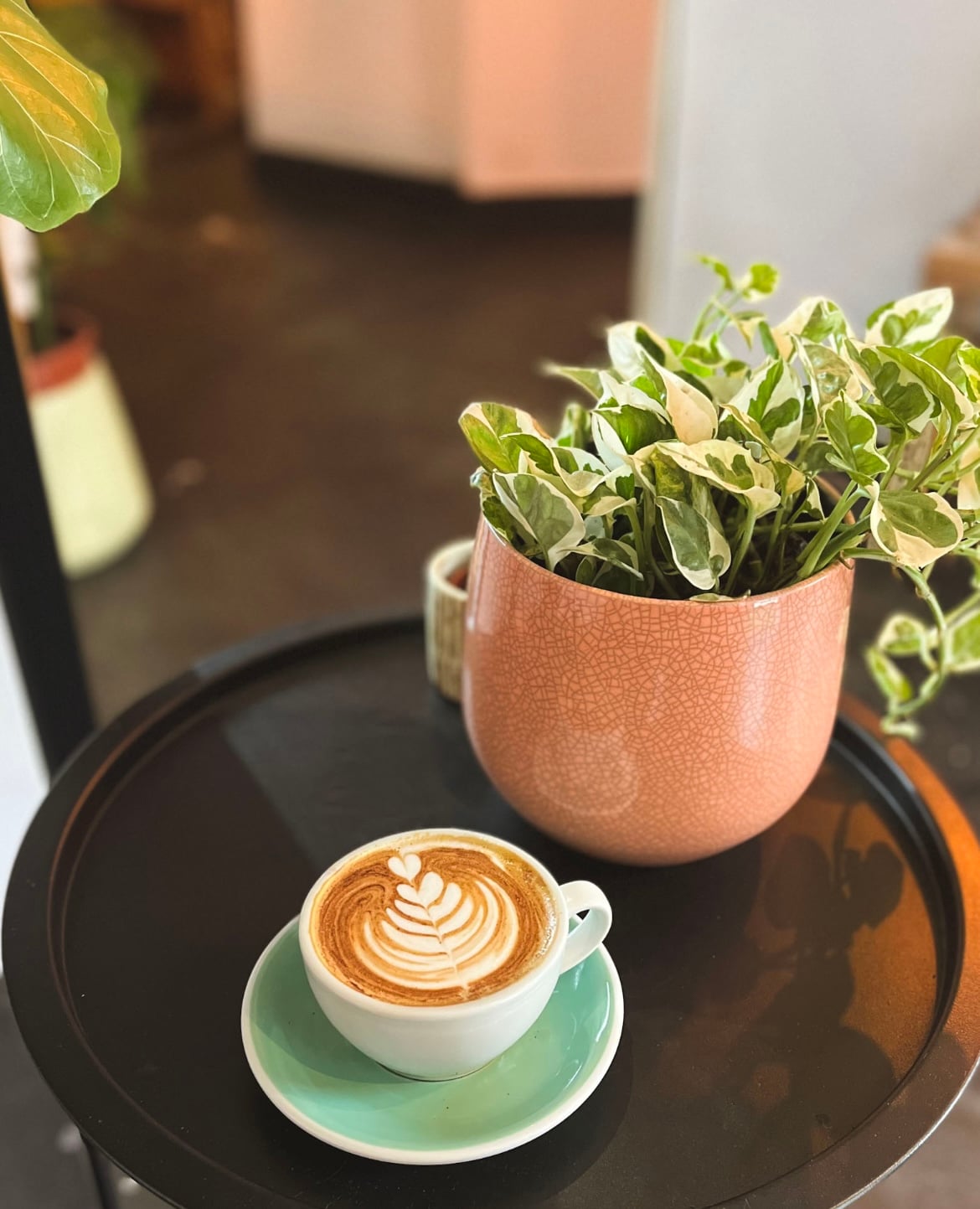 Photo of The Little Cactus - Speciality Coffee & Food