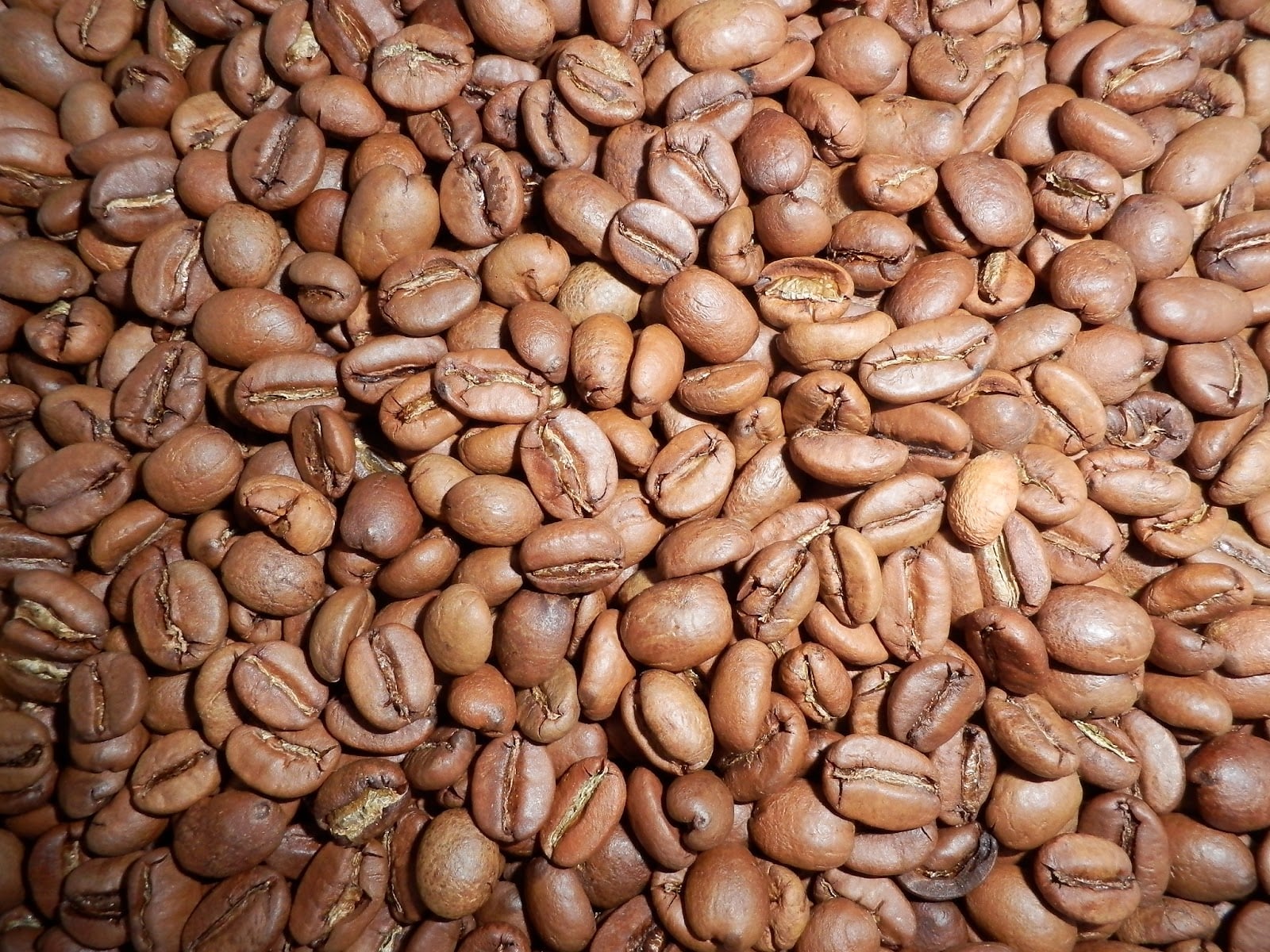 Photo of Coffeespot - Czech coffee roaster