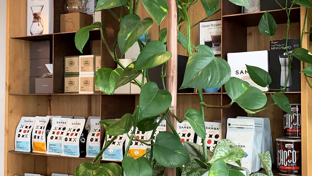 Photo of Samba Coffee Roasters | The Shop