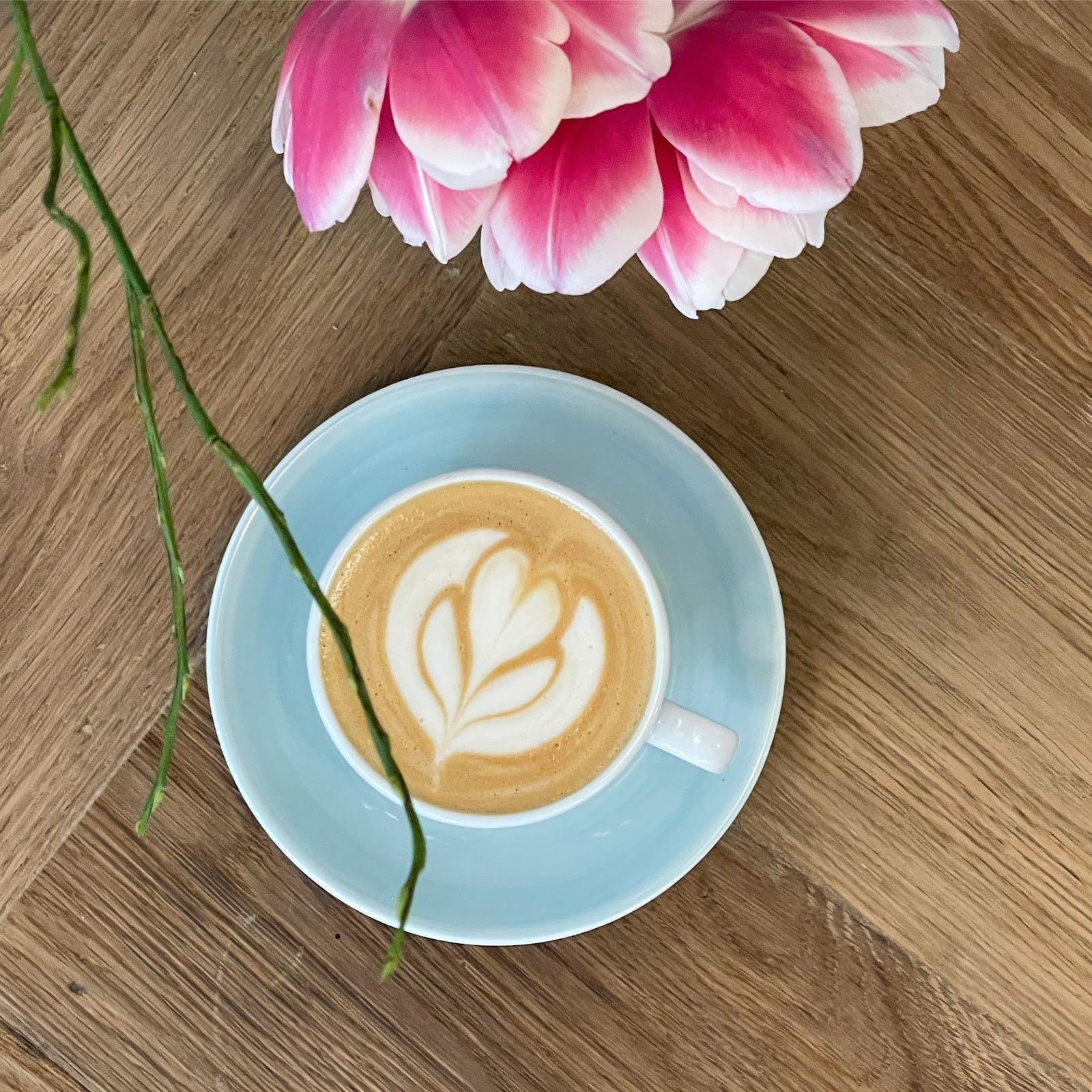 Photo of Kaffeesurium