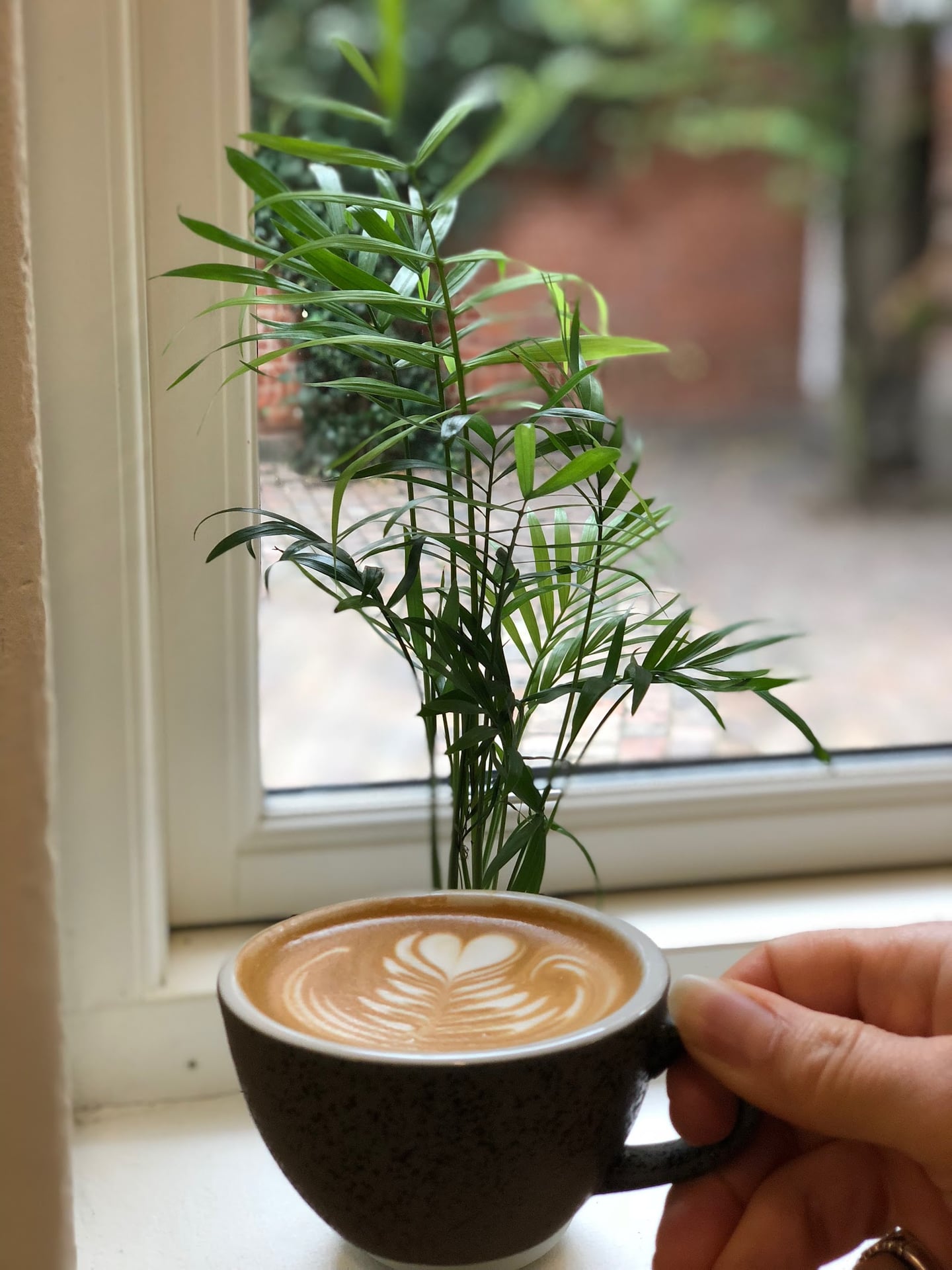 Photo of Stillers Coffee