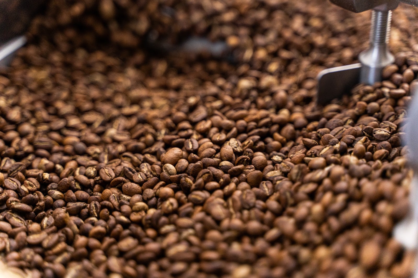 Photo of Bean Roasters -Avram Iancu