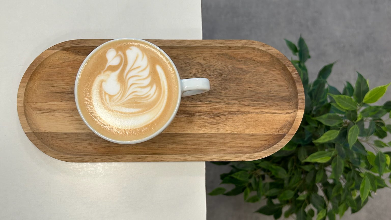 Photo of Bloom Specialty Coffee