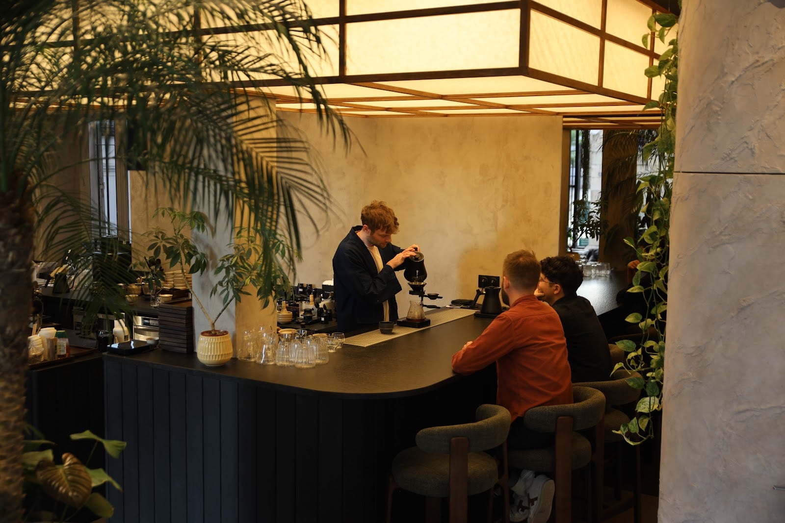 Forêt Forêt interior