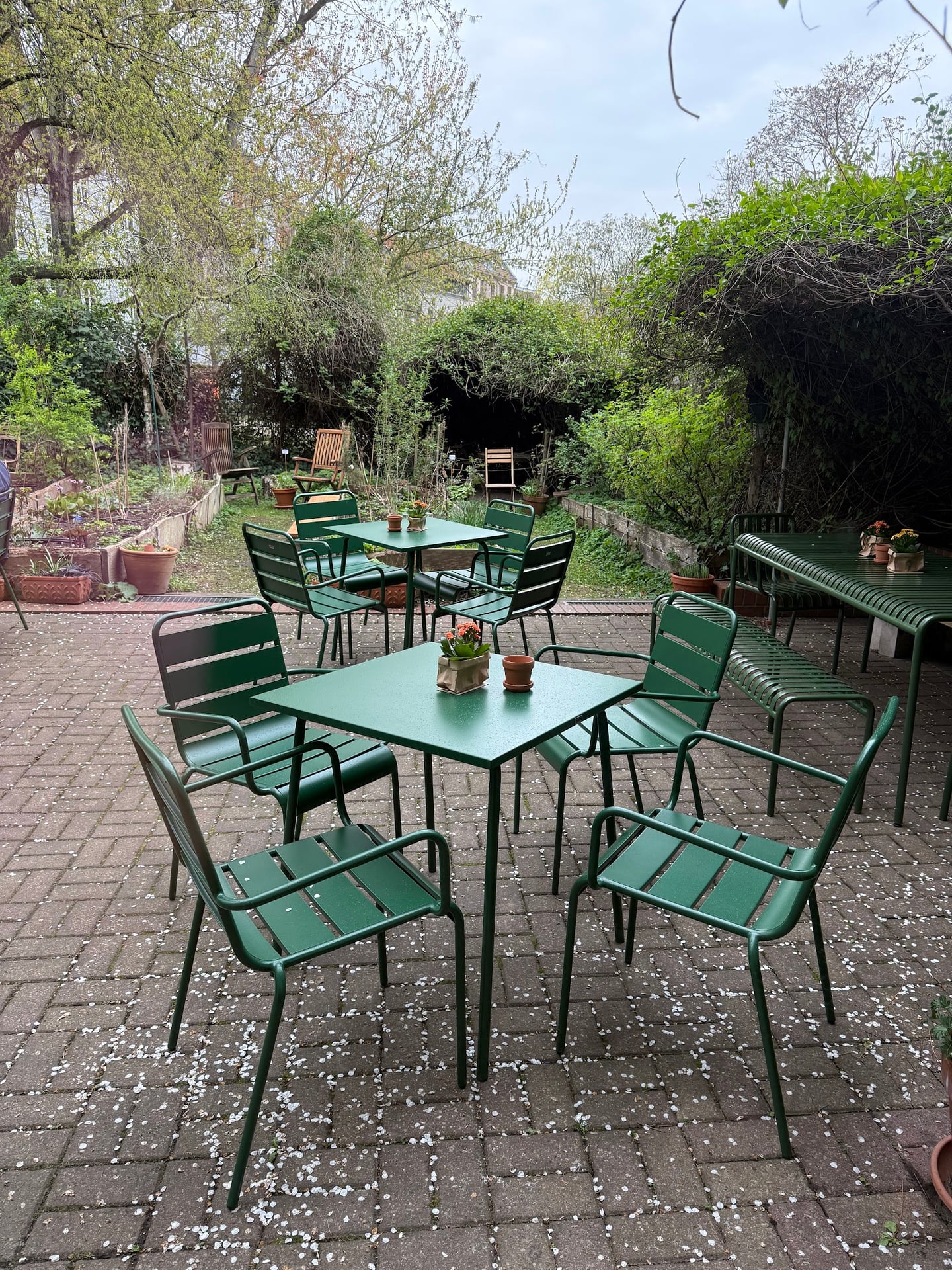 Garten Mitte interior