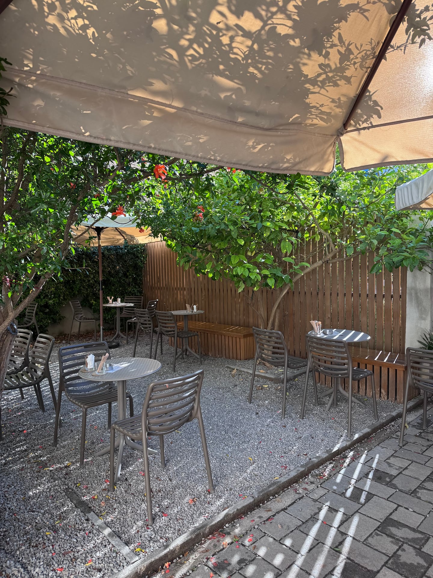 Photo of kava²