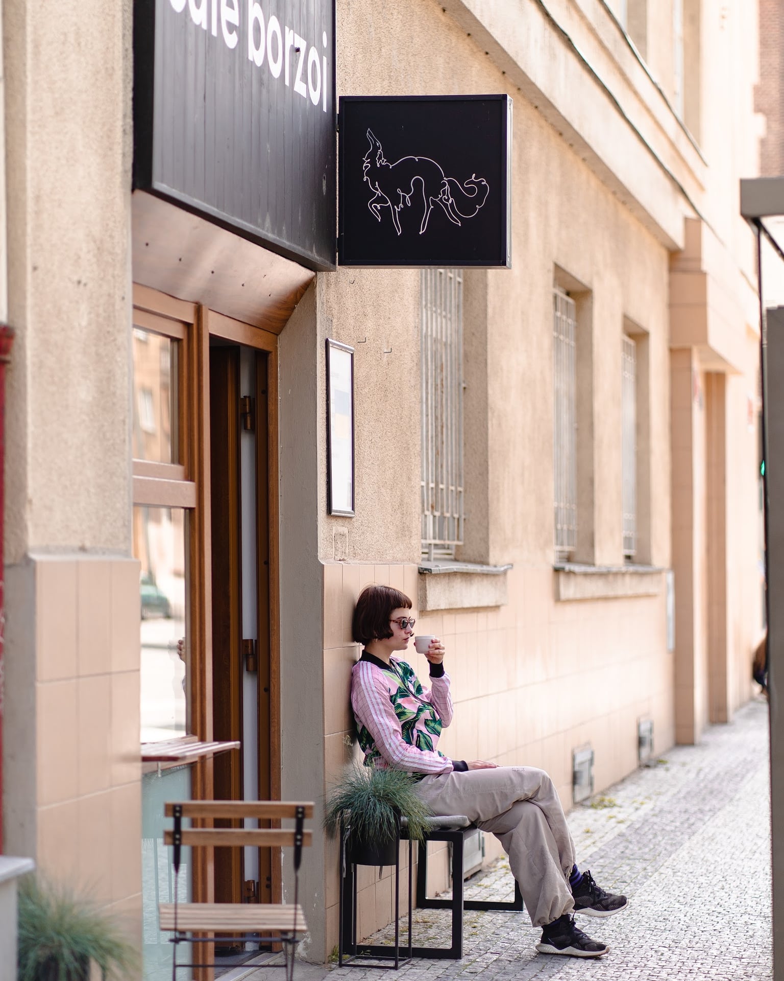 cafē borzoi interior