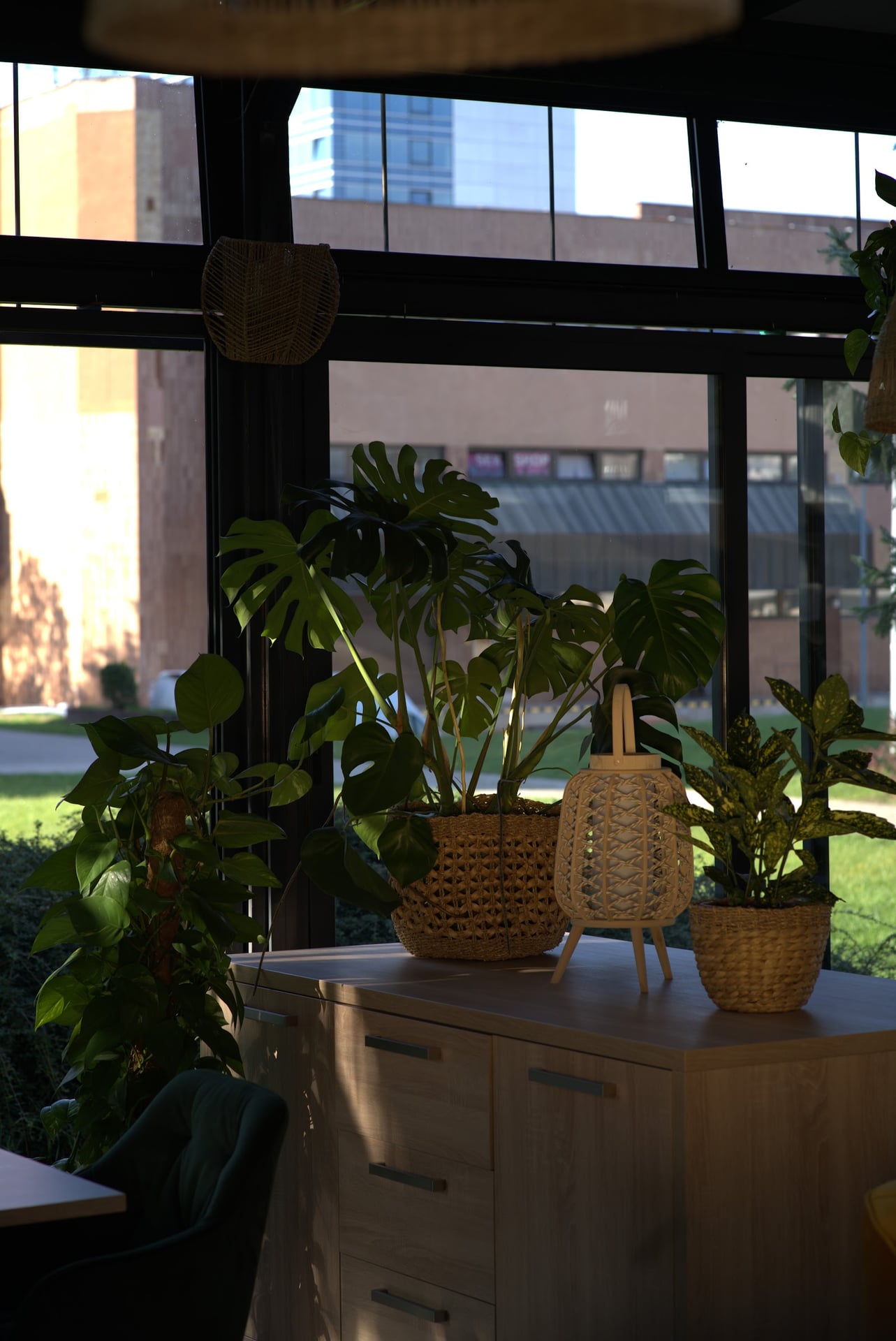 Tropico