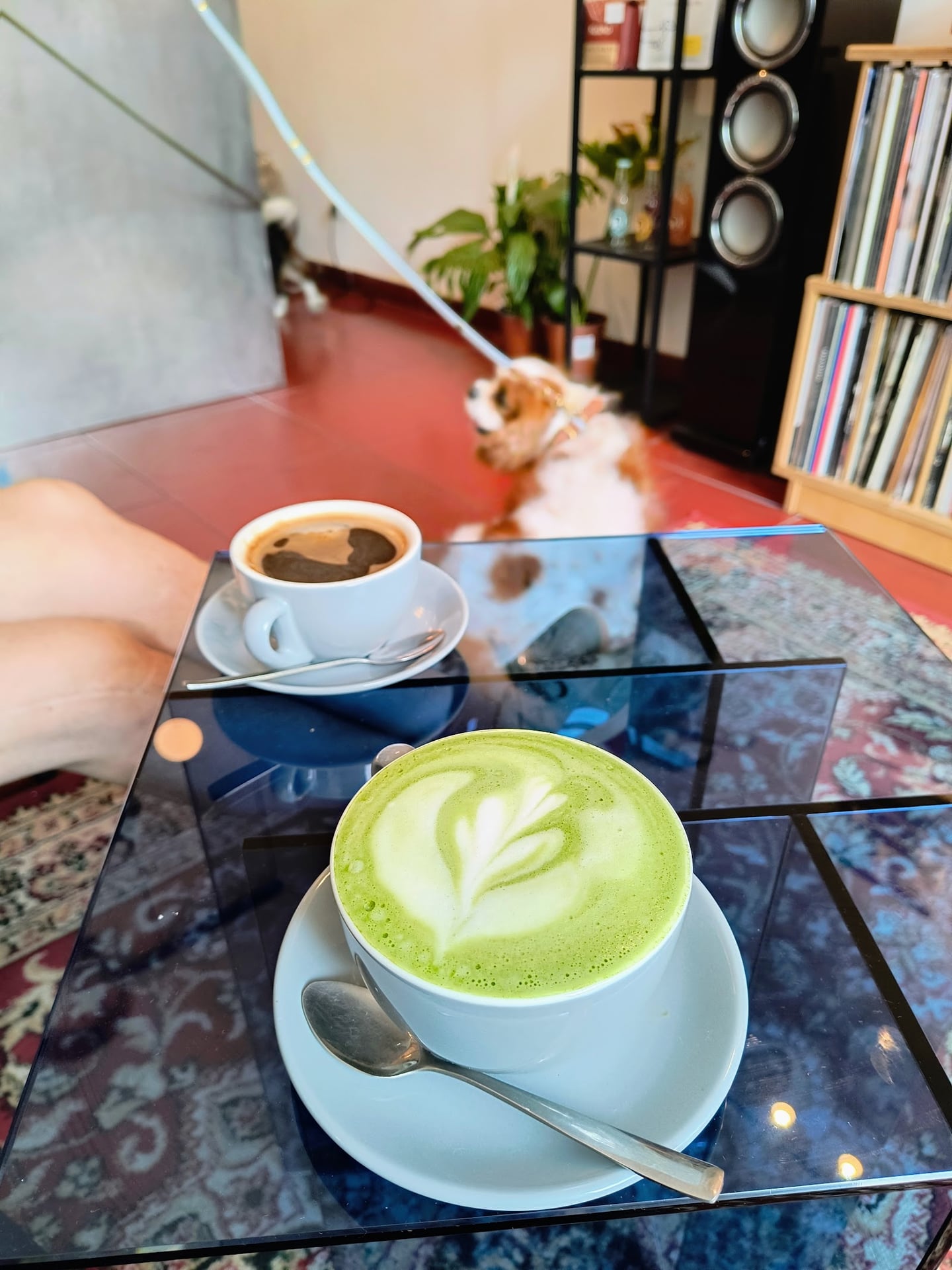 Photo of Cavi Cafe