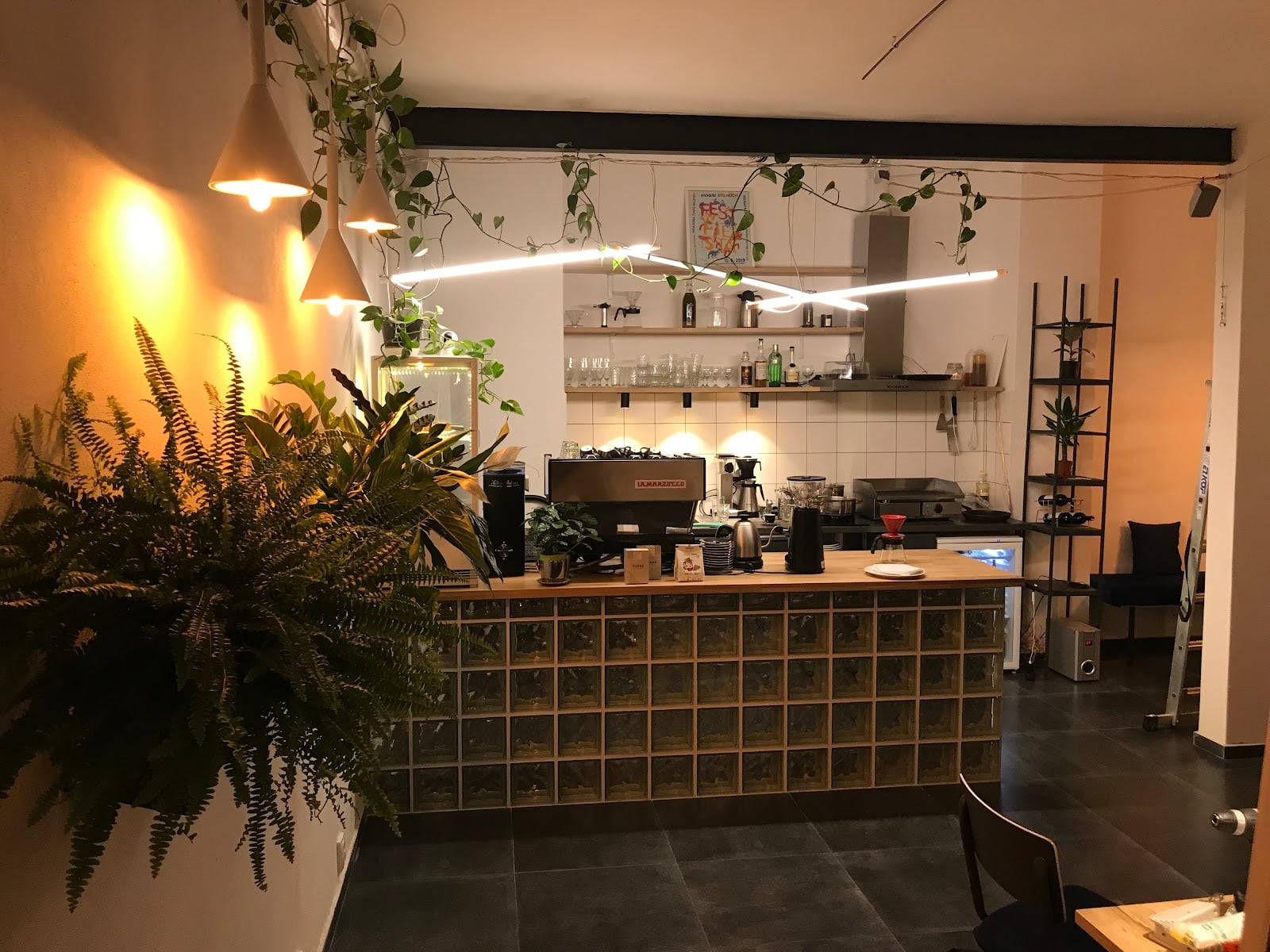 Čiary interior