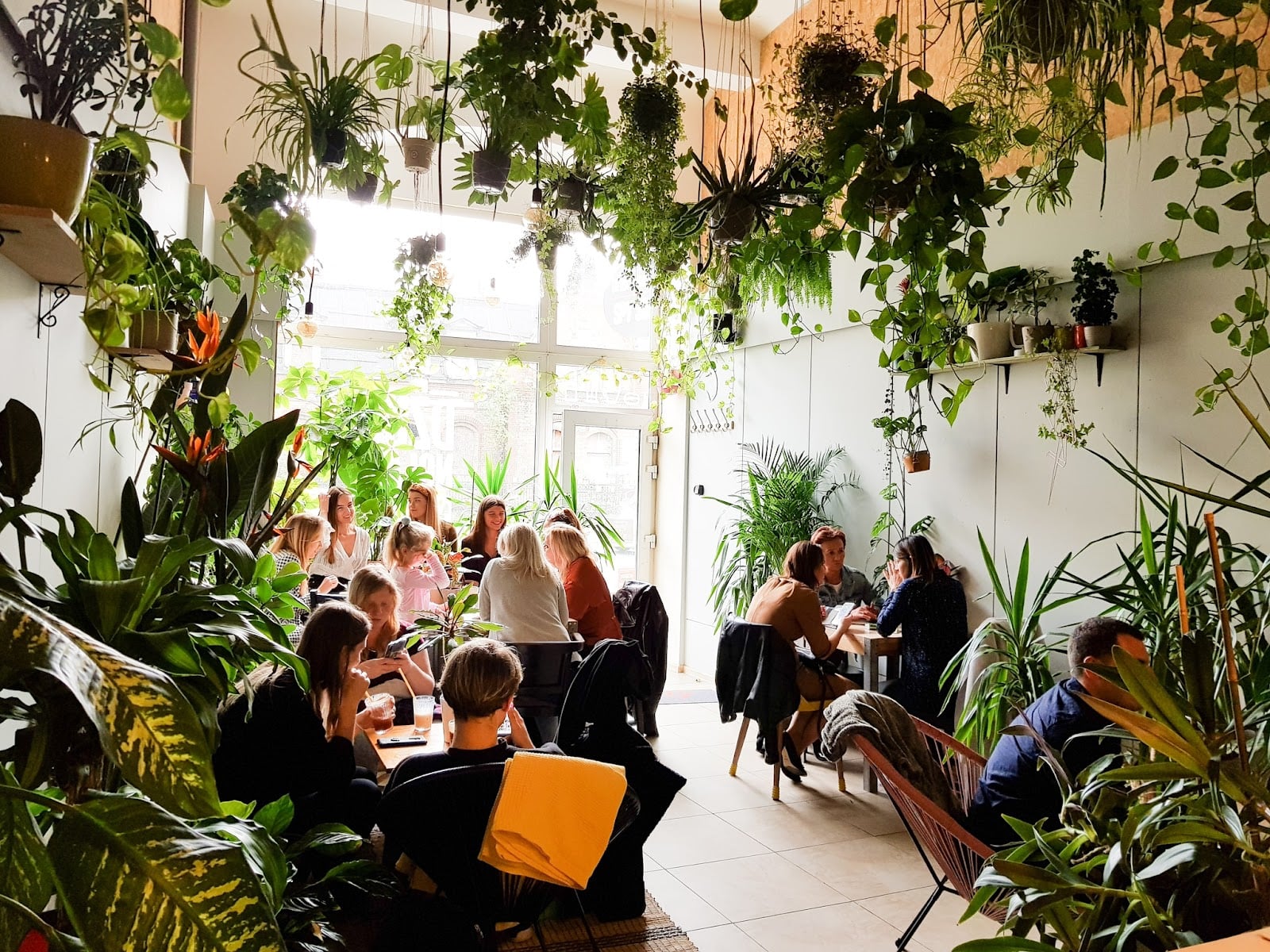 Photo of Dżungla Cafe
