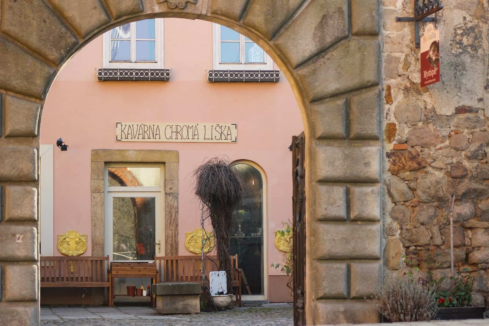 Chromá liška interior