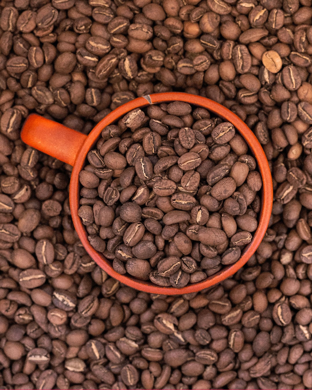 Photo of Café Piha - Coffee Shop - Torréfacteur - Boutique