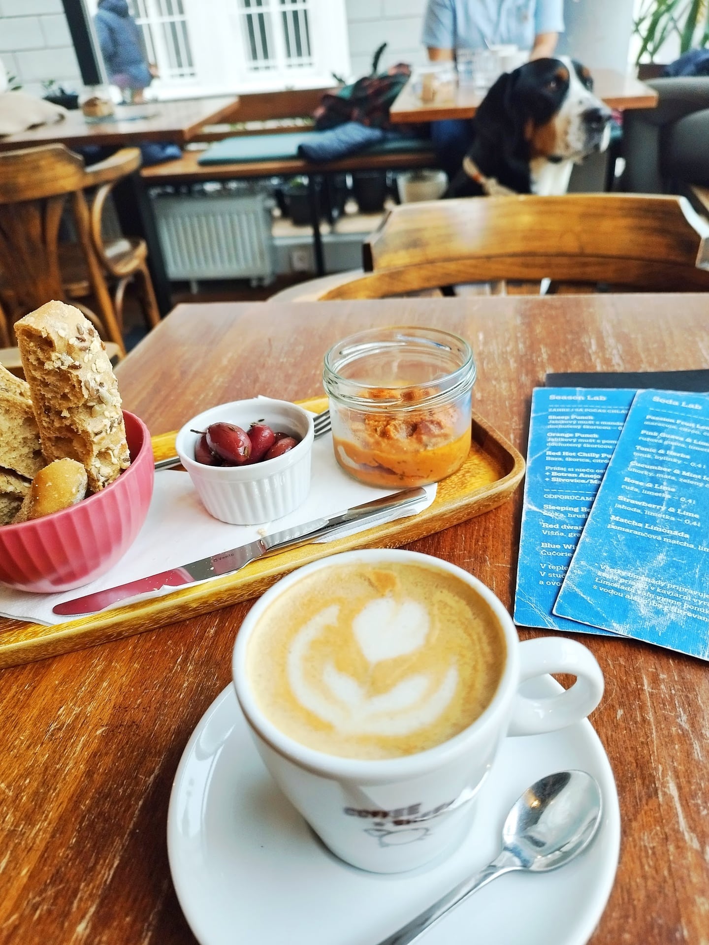 Photo of CoffeeSheep