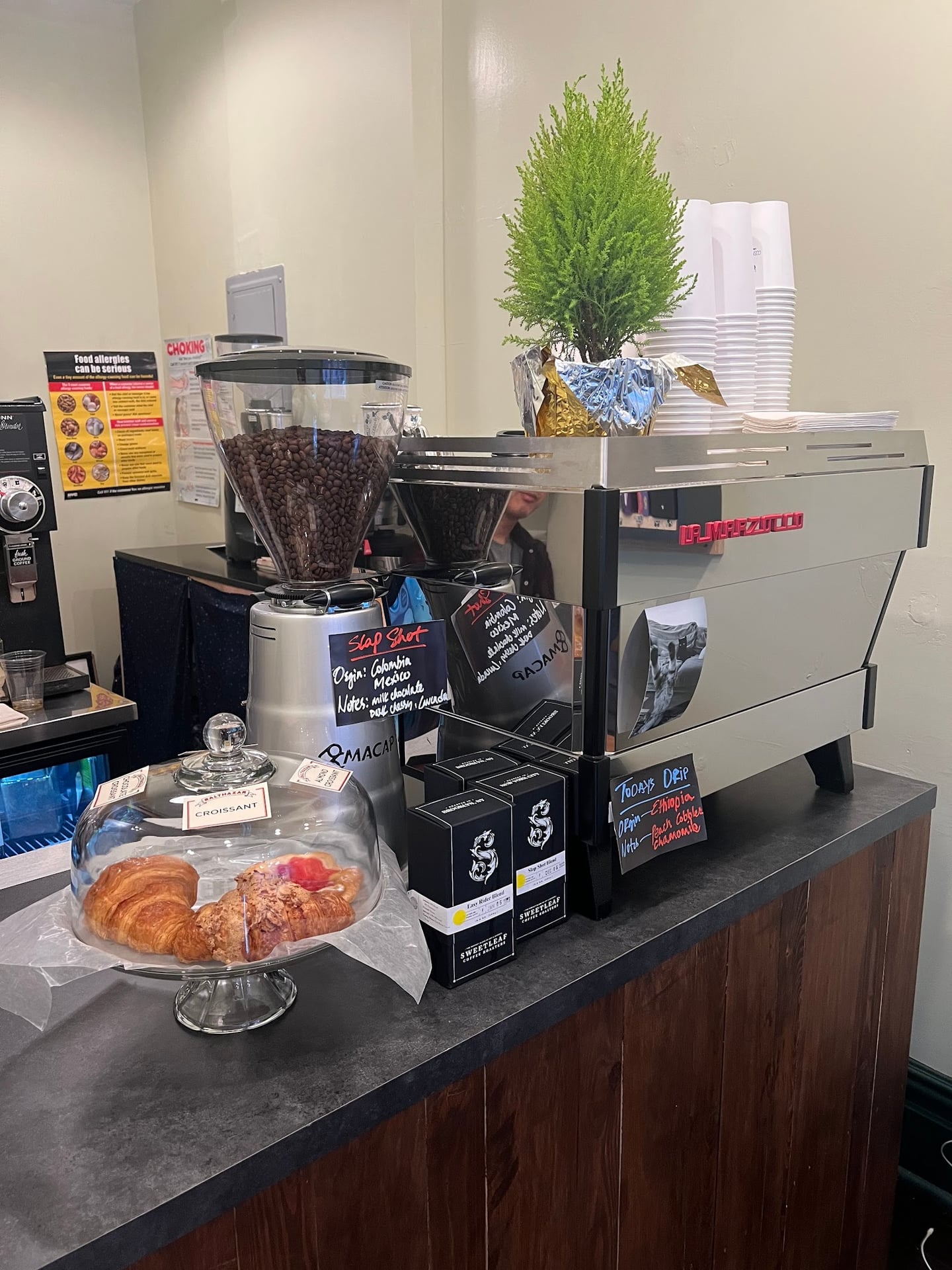 Photo of COSMIC CAT COFFEE AND ESPRESSO