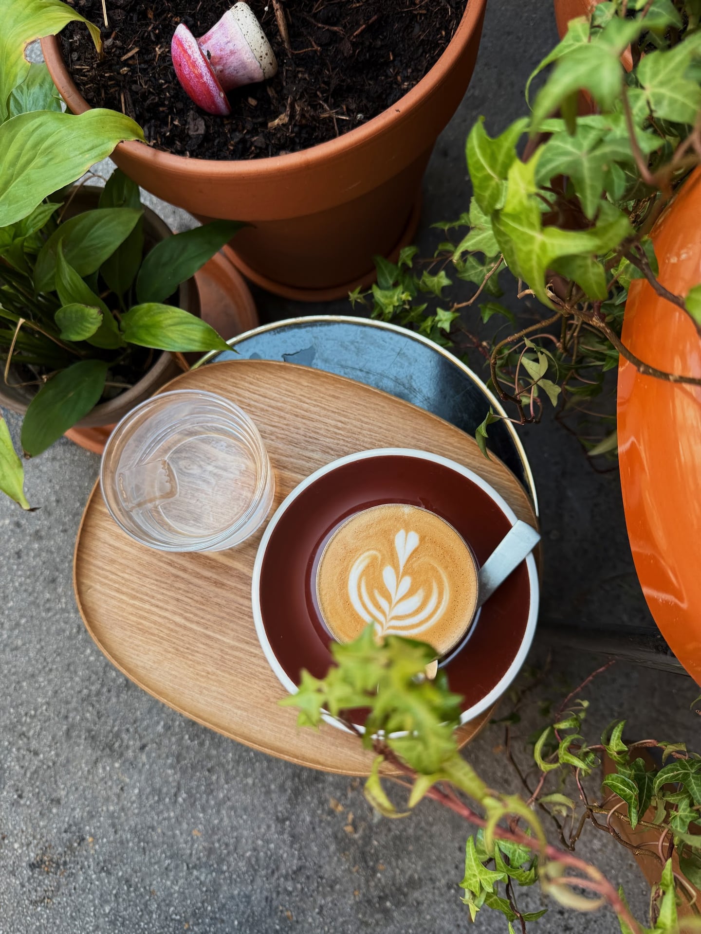 Photo of Café Fokus