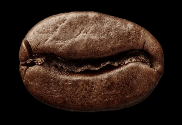 Photo of Brew Your Mind