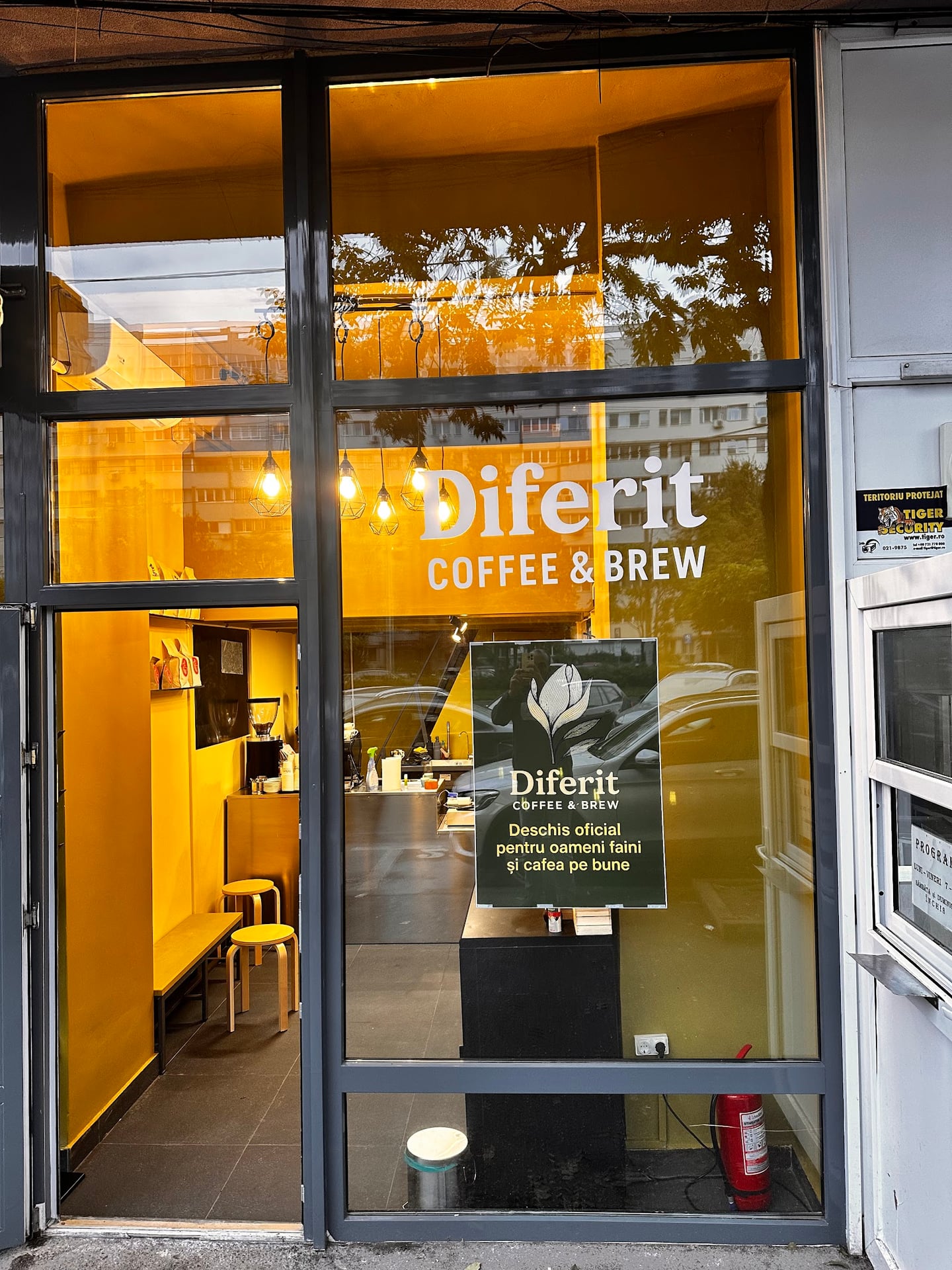 Diferit Coffee & Brew interior